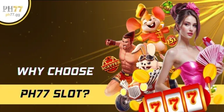 q99 cho người mới bắt đầu